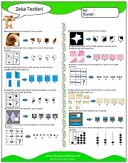 Zeka Gelişim Testleri